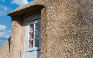 Collafield thatch roof disadvantages