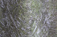 Collafield fibreglass roof work